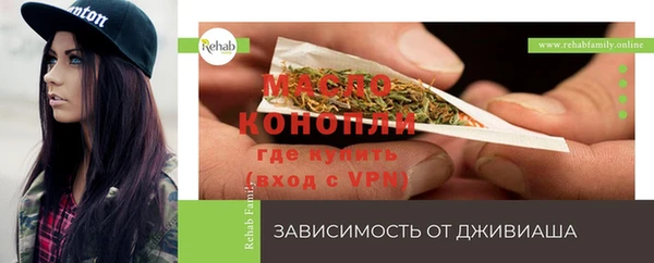 стаф Новодвинск