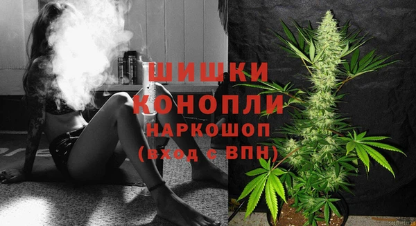 стаф Новодвинск
