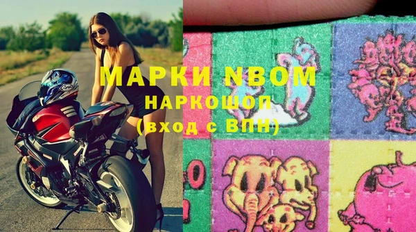 стаф Новодвинск